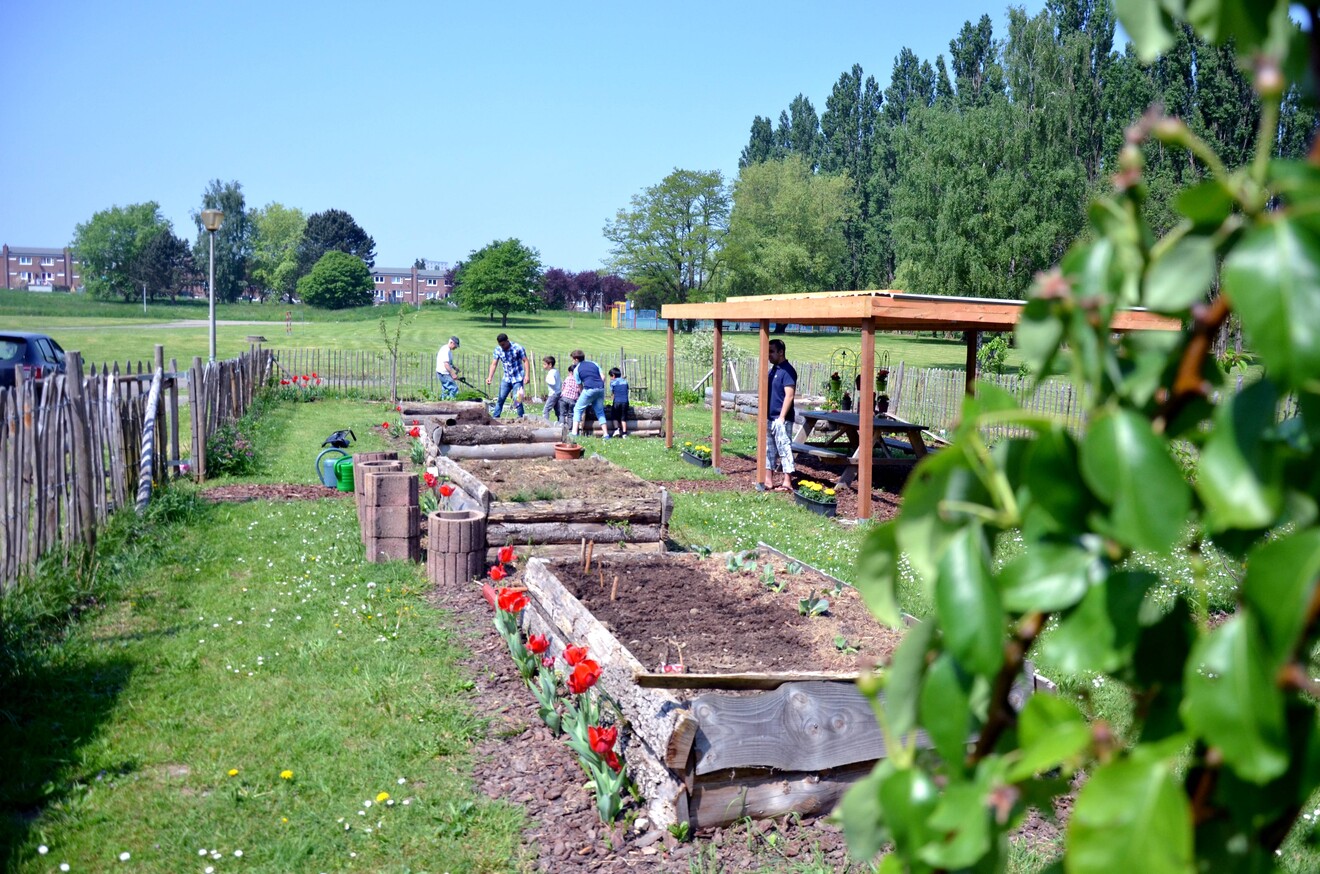 Jardin partagé Formidable