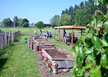 Jardin partagé Formidable